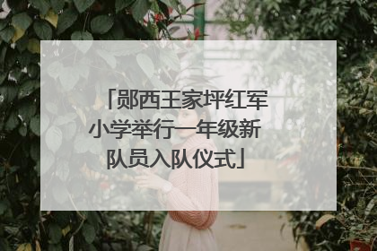 郧西王家坪红军小学举行一年级新队员入队仪式