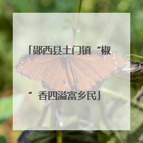 郧西县土门镇“椒”香四溢富乡民