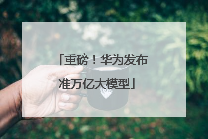 重磅！华为发布准万亿大模型