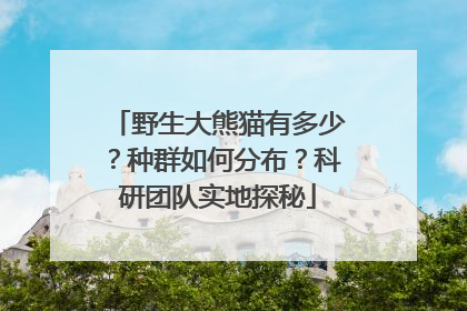 野生大熊猫有多少？种群如何分布？科研团队实地探秘