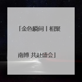 金色瞬间丨相聚南博 共赴盛会
