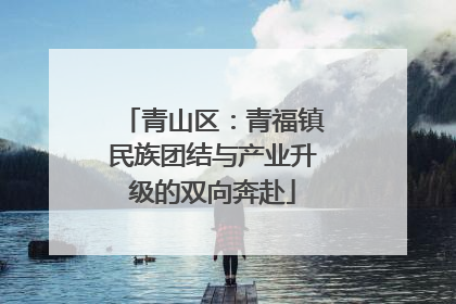青山区：青福镇民族团结与产业升级的双向奔赴