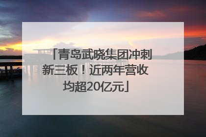 青岛武晓集团冲刺新三板！近两年营收均超20亿元