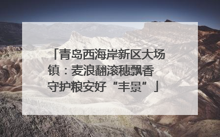 青岛西海岸新区大场镇：麦浪翻滚穗飘香 守护粮安好“丰景”