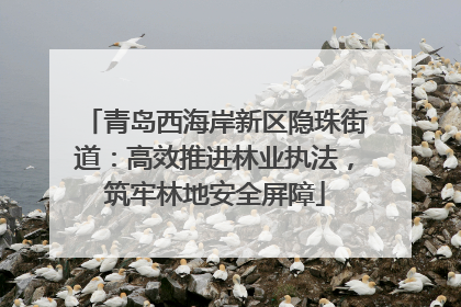 青岛西海岸新区隐珠街道：高效推进林业执法，筑牢林地安全屏障