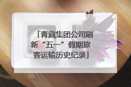 青藏集团公司刷新“五一”假期旅客运输历史纪录
