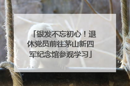 银发不忘初心！退休党员前往茅山新四军纪念馆参观学习