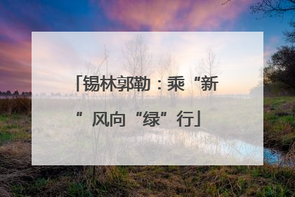 锡林郭勒：乘“新”风向“绿”行
