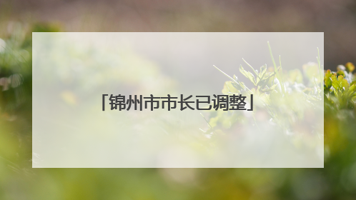锦州市市长已调整