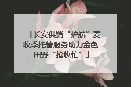 长安供销“护航”麦收季托管服务助力金色田野“抢收忙”