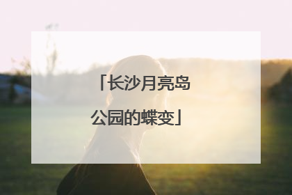 长沙月亮岛公园的蝶变