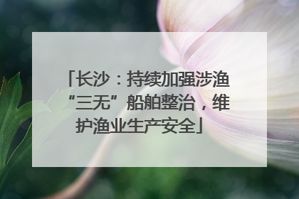 长沙：持续加强涉渔“三无”船舶整治，维护渔业生产安全