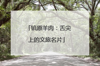 镇原羊肉：舌尖上的文旅名片