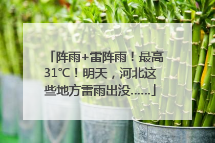 阵雨+雷阵雨！最高31℃！明天，河北这些地方雷雨出没……