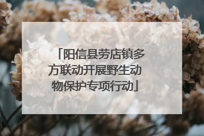 阳信县劳店镇多方联动开展野生动物保护专项行动