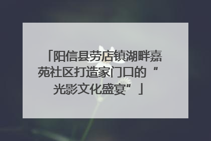 阳信县劳店镇湖畔嘉苑社区打造家门口的“光影文化盛宴”