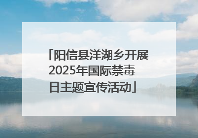阳信县洋湖乡开展2025年国际禁毒日主题宣传活动