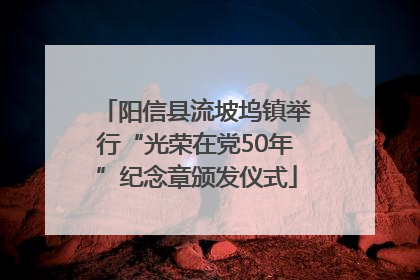 阳信县流坡坞镇举行“光荣在党50年”纪念章颁发仪式