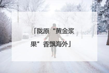 陇原“黄金浆果”香飘海外