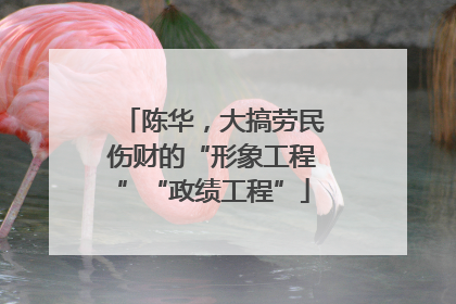 陈华，大搞劳民伤财的“形象工程”“政绩工程”