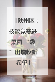 陕州区：技能竞赛进果园 “袋”出增收新希望