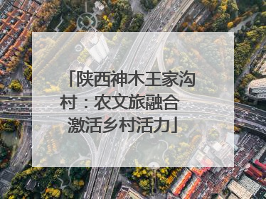 陕西神木王家沟村：农文旅融合 激活乡村活力