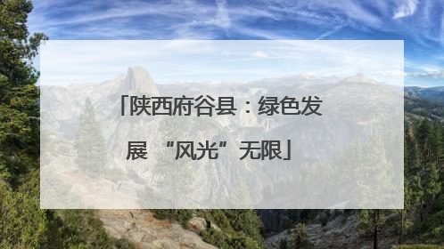 陕西府谷县：绿色发展 “风光”无限