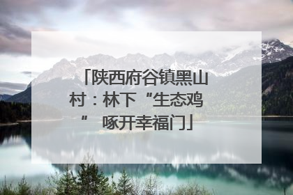 陕西府谷镇黑山村：林下“生态鸡” 啄开幸福门