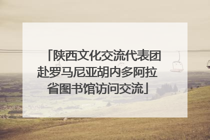 陕西文化交流代表团赴罗马尼亚胡内多阿拉省图书馆访问交流