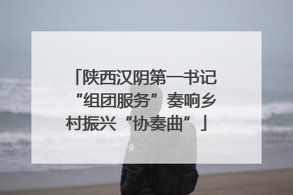 陕西汉阴第一书记“组团服务”奏响乡村振兴“协奏曲”