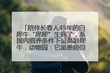 陪伴长春人45年的白犀牛“犀犀”生病了，系国内圈养条件下最高龄犀牛，动物园：它虽患病但未处于弥留之际