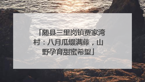 随县三里岗镇贾家湾村：八月瓜缀满藤，山野孕育甜蜜希望