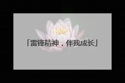 雷锋精神，伴我成长