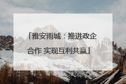 雅安雨城：推进政企合作 实现互利共赢