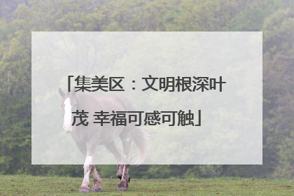 集美区：文明根深叶茂 幸福可感可触