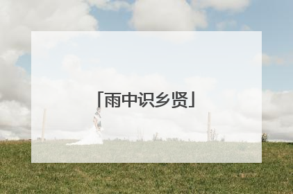 雨中识乡贤