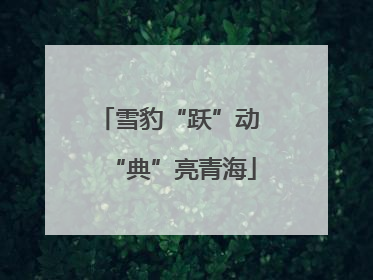 雪豹“跃”动 “典”亮青海