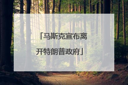 马斯克宣布离开特朗普政府