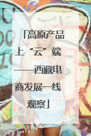 高原产品上“云”端——西藏电商发展一线观察