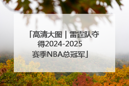 高清大图｜雷霆队夺得2024-2025赛季NBA总冠军