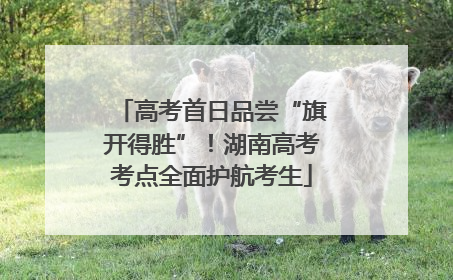 高考首日品尝“旗开得胜”！湖南高考考点全面护航考生