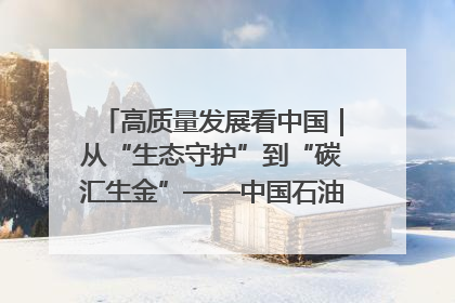 高质量发展看中国｜从“生态守护”到“碳汇生金”——中国石油大庆油田绿色蝶变