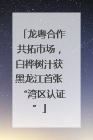 龙粤合作共拓市场，白桦树汁获黑龙江首张“湾区认证”