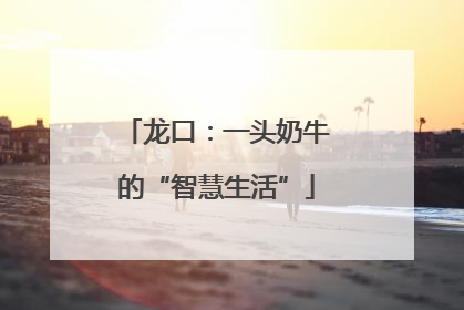 龙口：一头奶牛的“智慧生活”