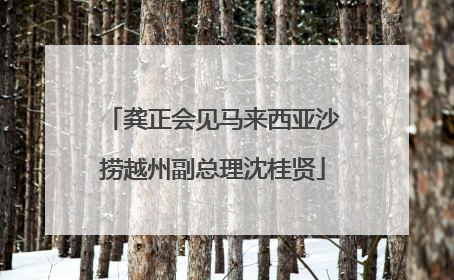 龚正会见马来西亚沙捞越州副总理沈桂贤