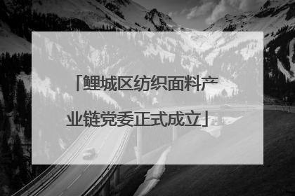 鲤城区纺织面料产业链党委正式成立