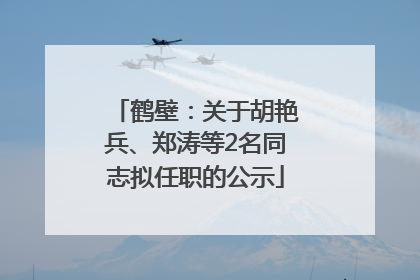 鹤壁：关于胡艳兵、郑涛等2名同志拟任职的公示