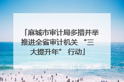 麻城市审计局多措并举推进全省审计机关 “三大提升年” 行动