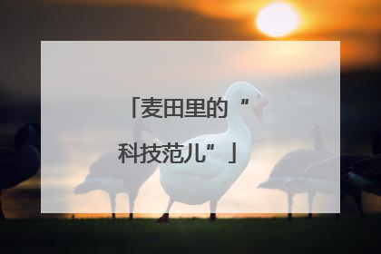 麦田里的“科技范儿”