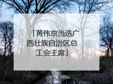 黄伟京当选广西壮族自治区总工会主席